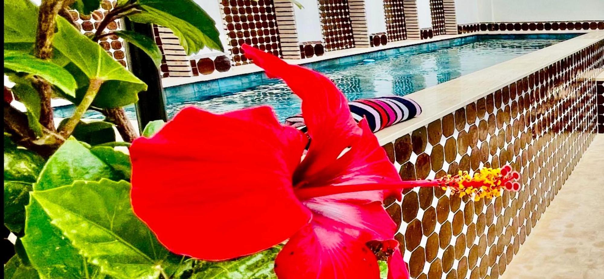Dar Najat Hotell Marrakesh Exteriör bild